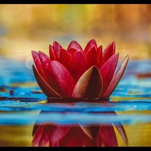 Meet your Posher, Irma